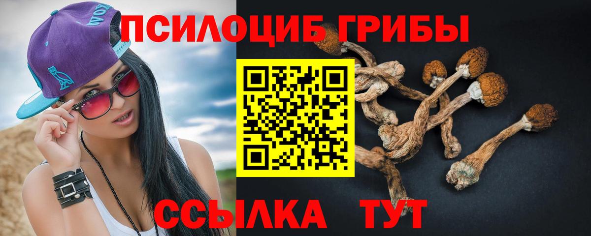 Псилоцибиновые грибы GOLDEN TEACHER Бердск