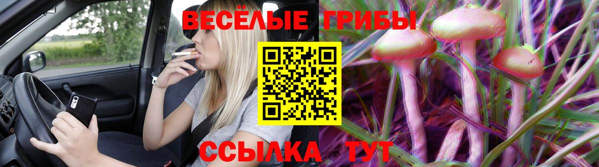 Бердск  Псилоцибиновые грибы мицелий  Галлюциногенные грибы мухоморы  Вход с VPN 